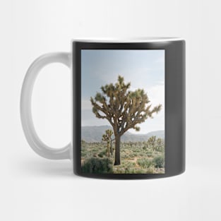Joshua Tree Mug